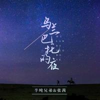 半吨兄弟、张茜 - 乌兰巴托的夜 (精消)伴奏