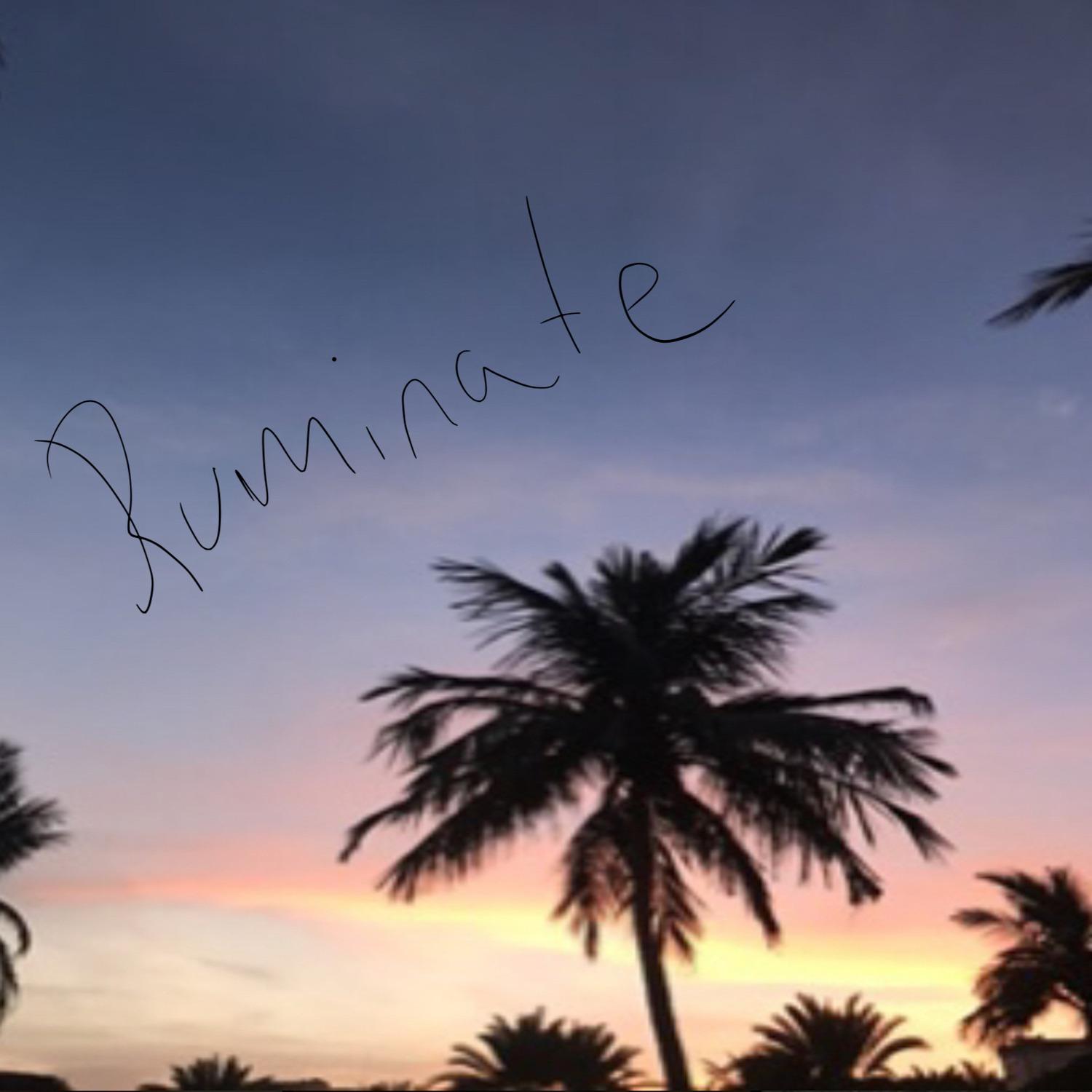 Ruminate