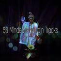 55 Minded Mountain Tracks专辑