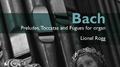 Bach: Organ Works Vol.1专辑
