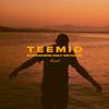 TEEMID - Somewhere Only We Know