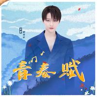 青春赋 (原版立体声)