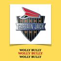 Wolly Bully (95'unrelease Track)专辑