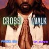 DF_Duane - Cross Walk