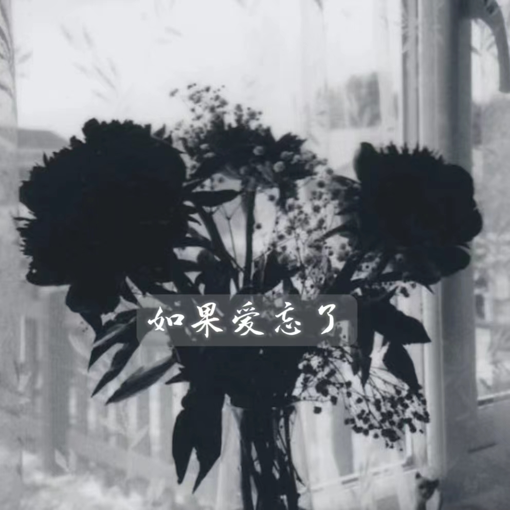 如果爱忘了