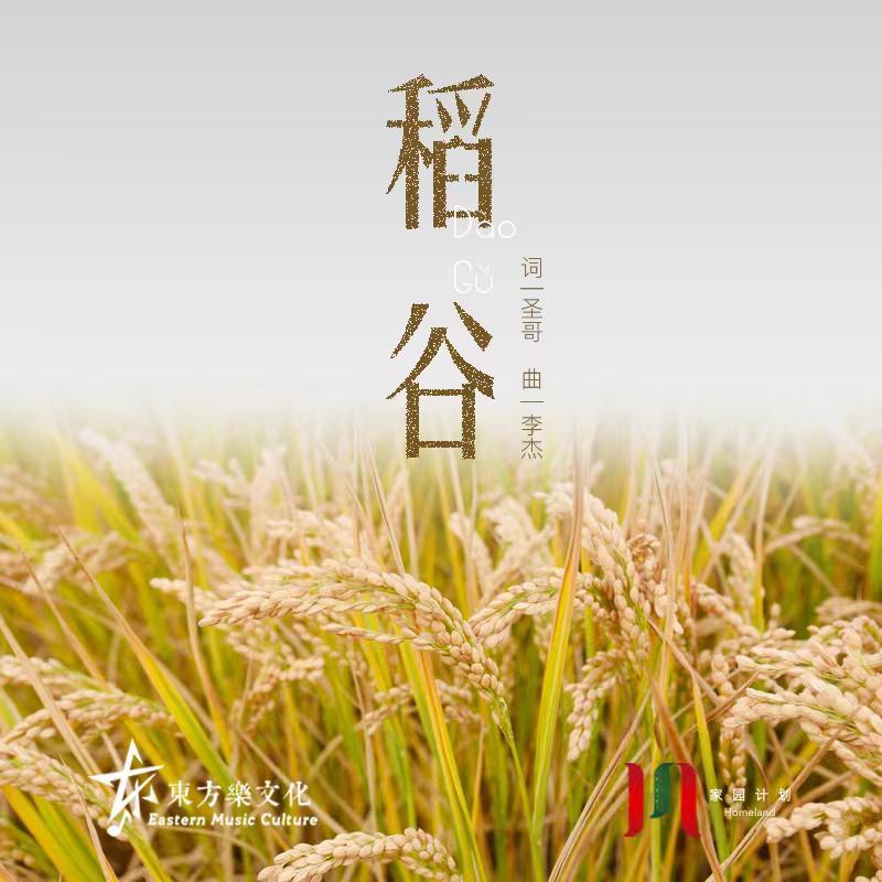 家园计划｜稻谷
