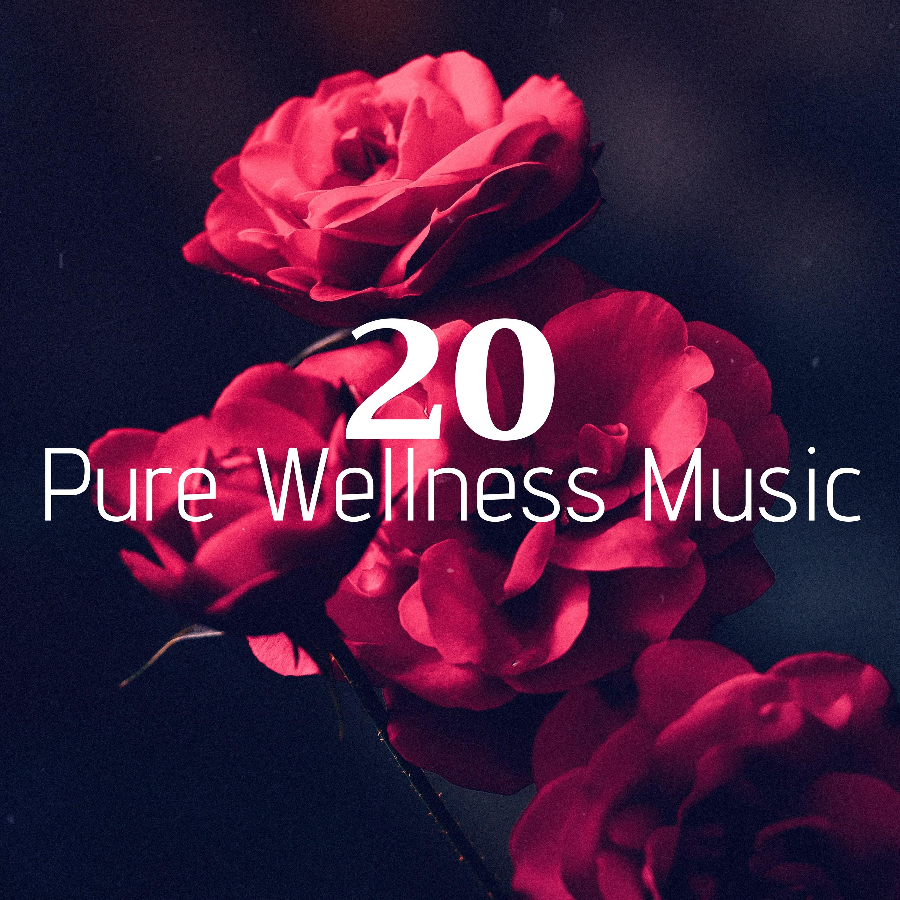 20 Pure Wellness Music - Rain Sounds, New Age Music, Find Relaxation Inside Your Soul专辑