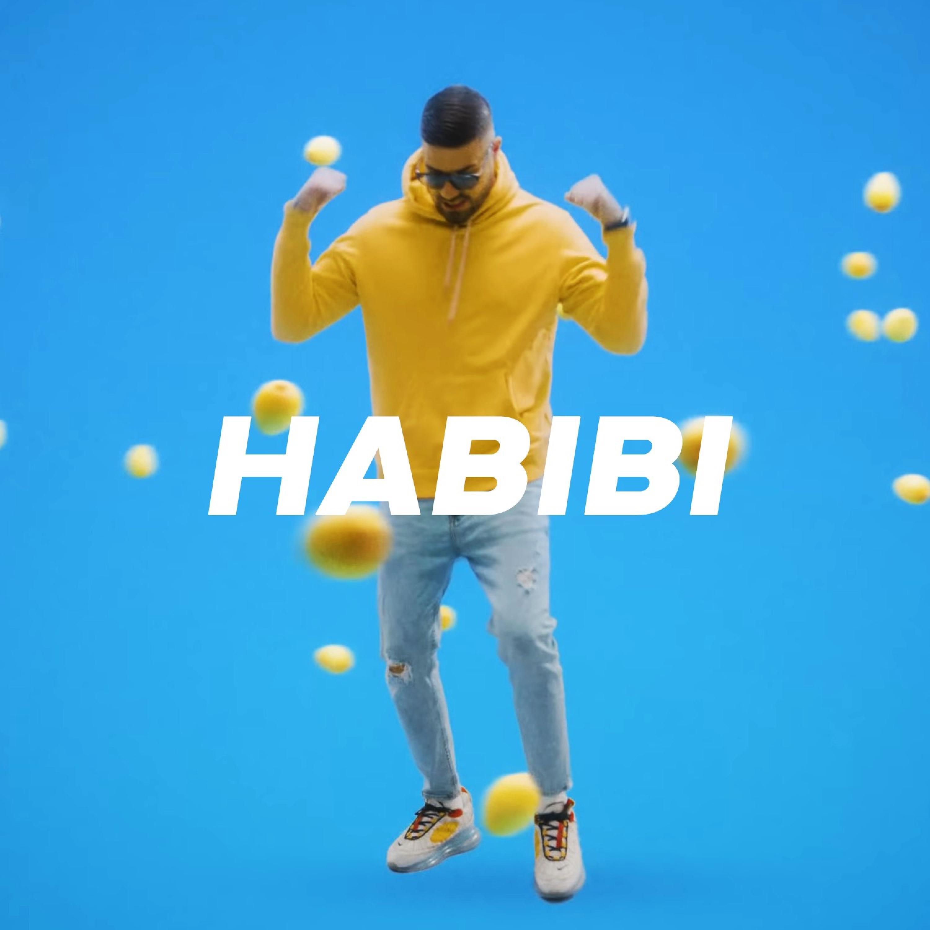 Slavic Boy Beats - Habibi (Instrumental)