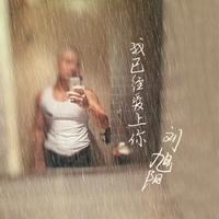 我已经爱上你 (原版立体声)