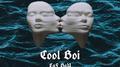 COOL BOI专辑
