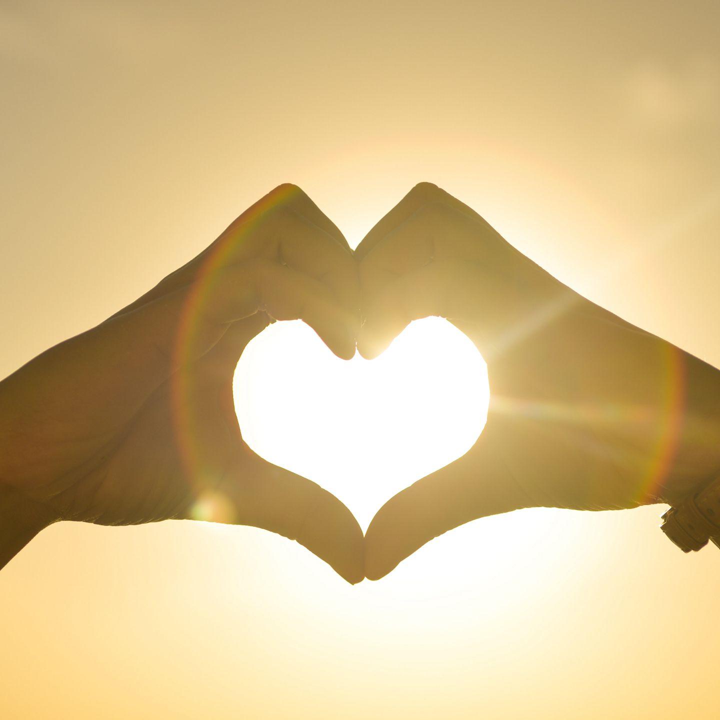 忘情号 (（dj弹鼓版）)