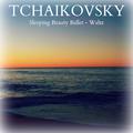 Tchaikovsky: Sleeping Beauty Ballet - Waltz