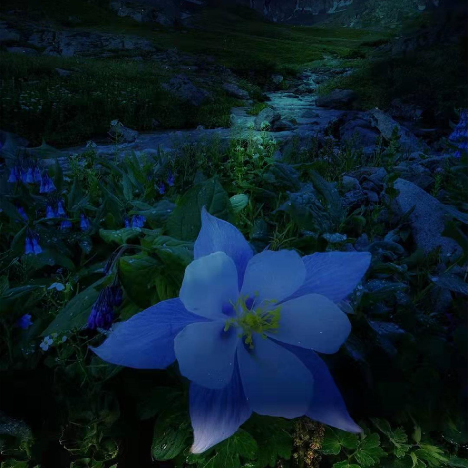 百听不厌