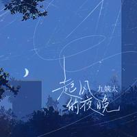 王晴 - 夜晚的缝隙