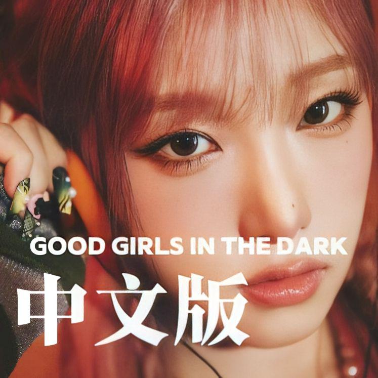 Good Girls in the dark（暗黑童话中文填词版本）