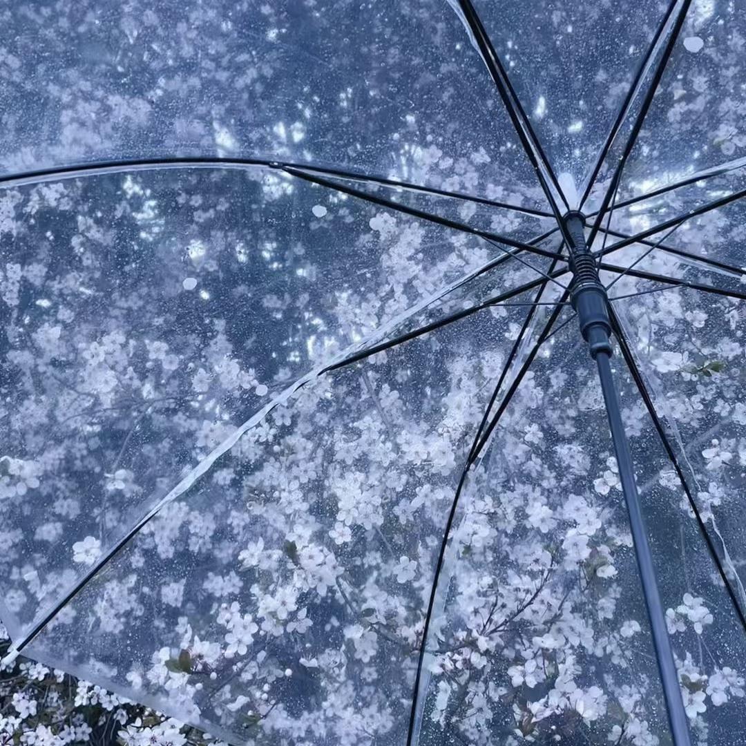 拉钩 我们永不分离