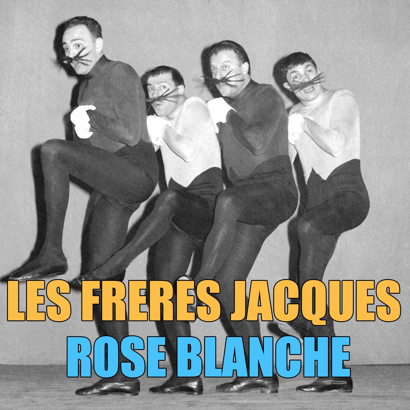 Rose Blanche