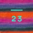 23