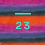 23