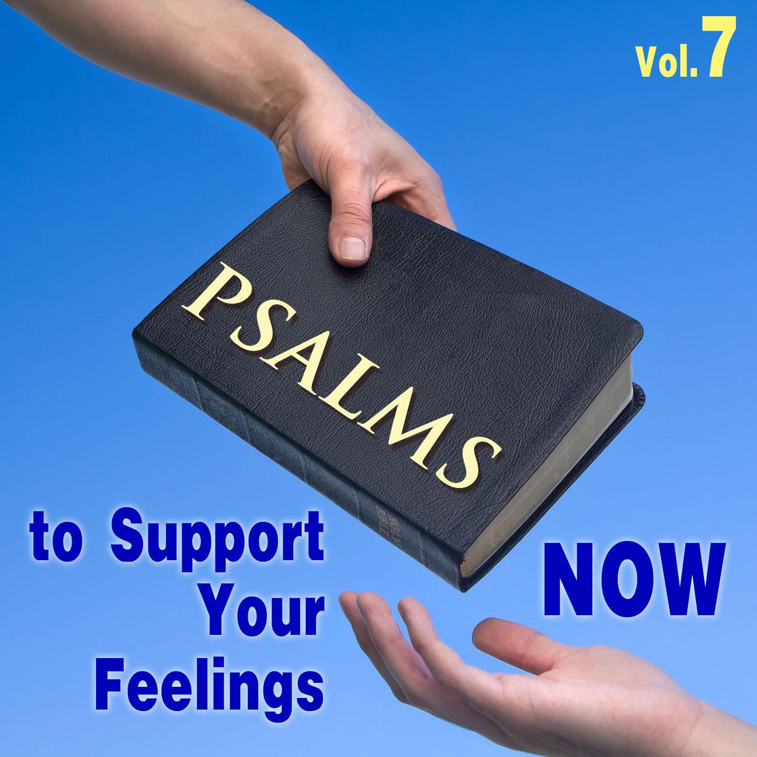 Psalms to Support Your Feeling Now, Vol. 7专辑