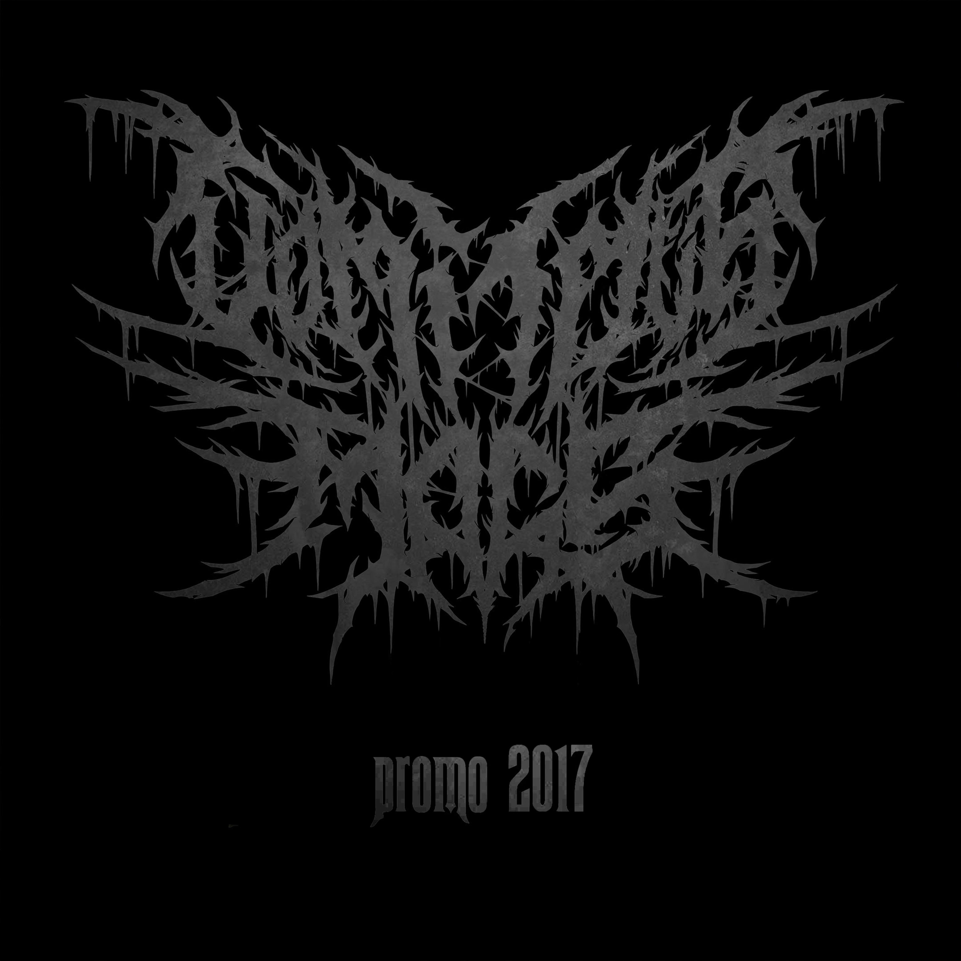 Promo 2017