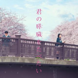 日本影视剧纯音集 | 愿时光能缓 愿故人不散