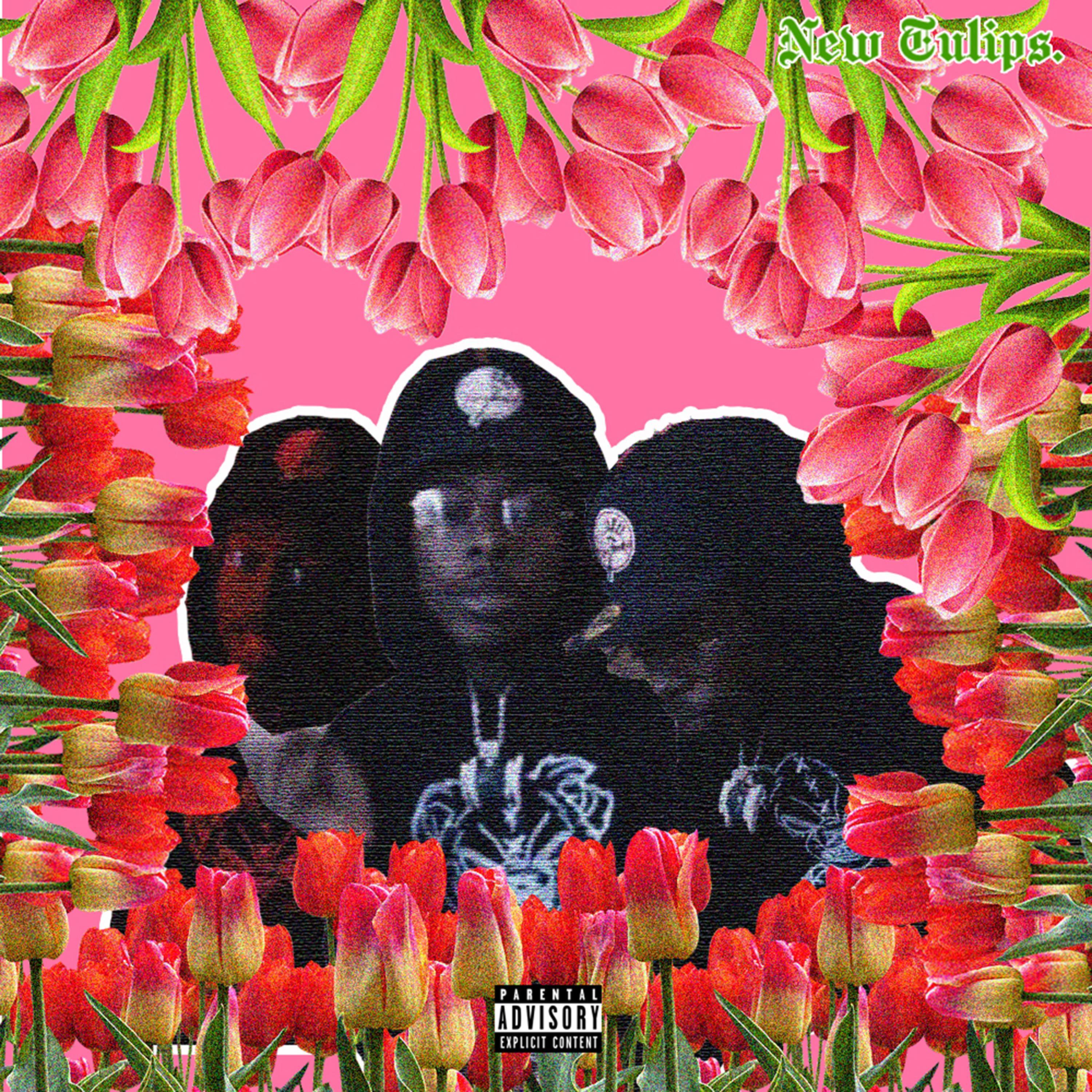 New Tulips