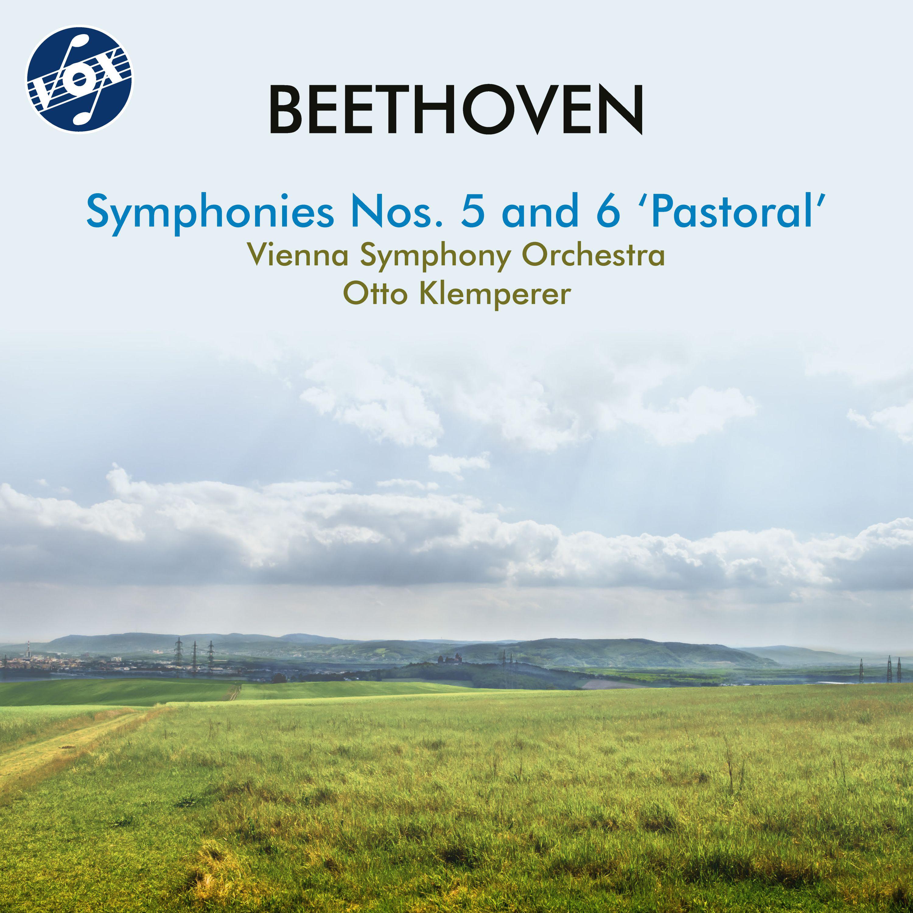Vienna Symphony Orchestra - Symphony No. 5 in C Minor, Op. 67:I. Allegro con brio
