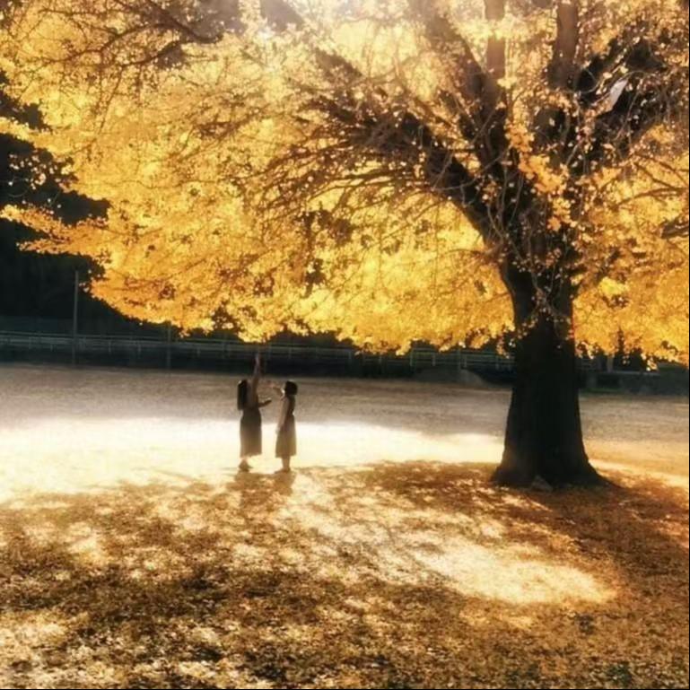 微妙距离