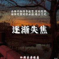 孙中亮 - 为什么你偏偏不喜欢我 (伴奏)