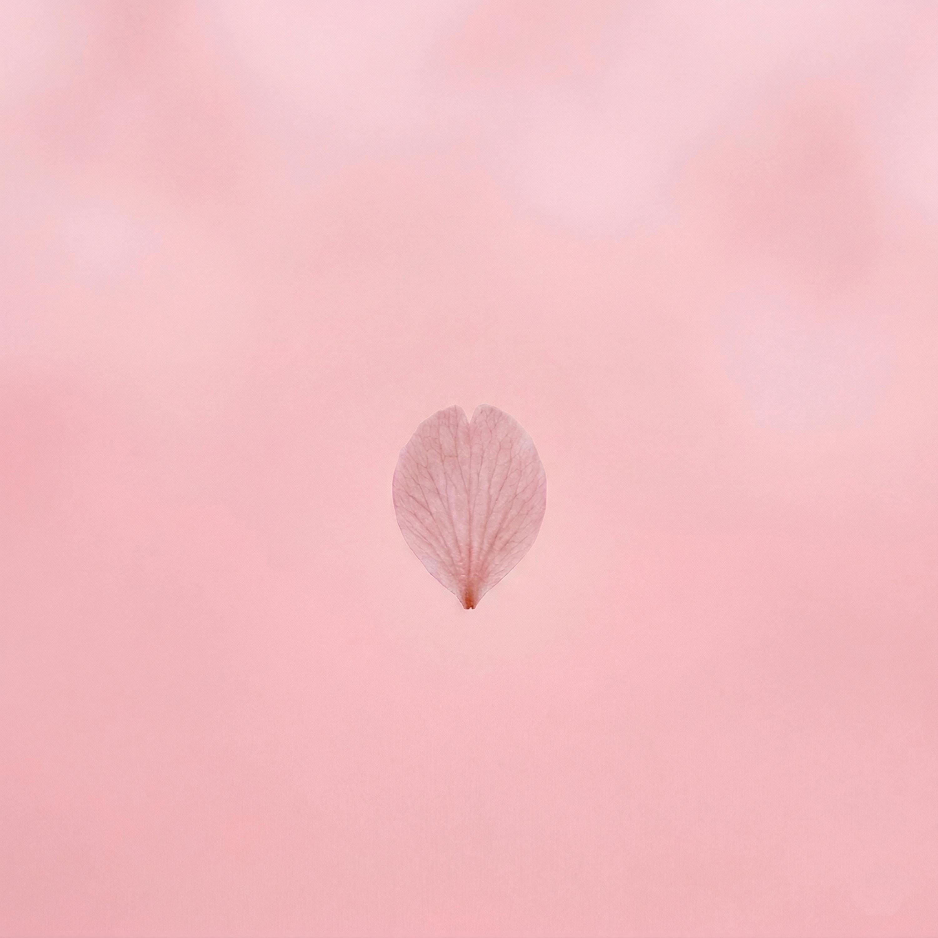 너를 닮은 봄