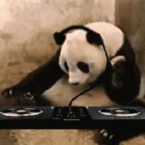 喜欢电音?一个歌单就够了！