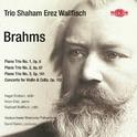 Brahms: Works for Strings专辑