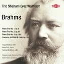 Brahms: Works for Strings专辑