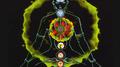 Chakra Sounds专辑