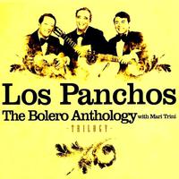 Nosotros - Los Panchos (unofficial Instrumental)