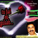 Tu Hain Ek Gulaab专辑