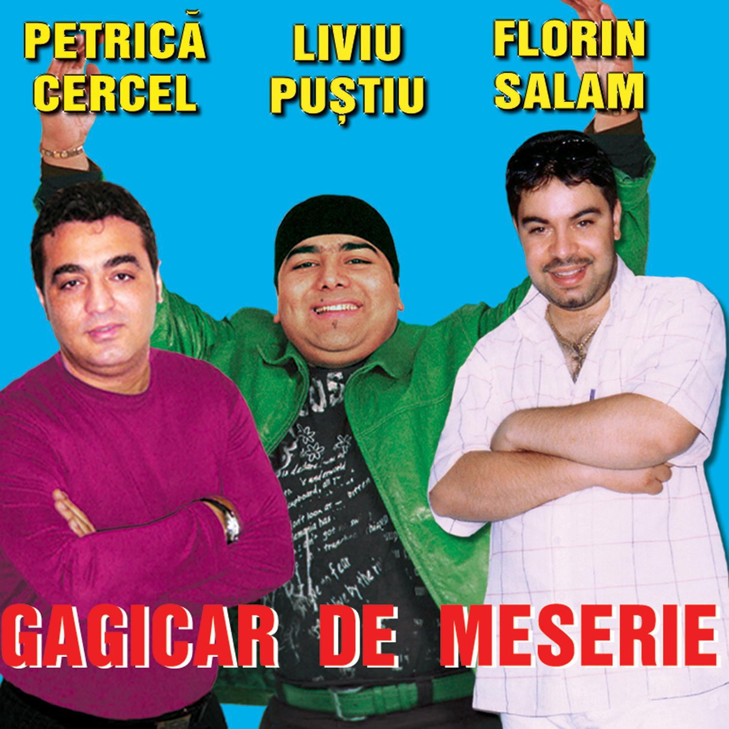 Gagicar De Meserie / I'm A Playboy专辑