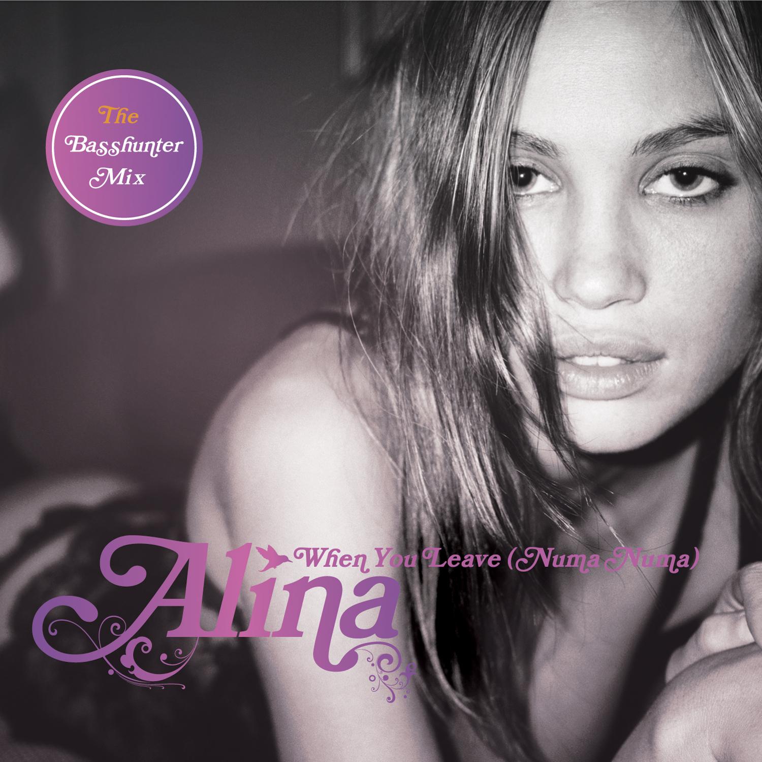 When You Leave (Numa Numa) (Remixes)