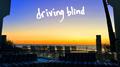 driving blind专辑