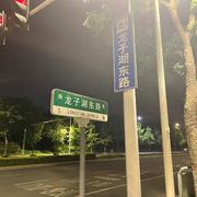 龙子湖东路