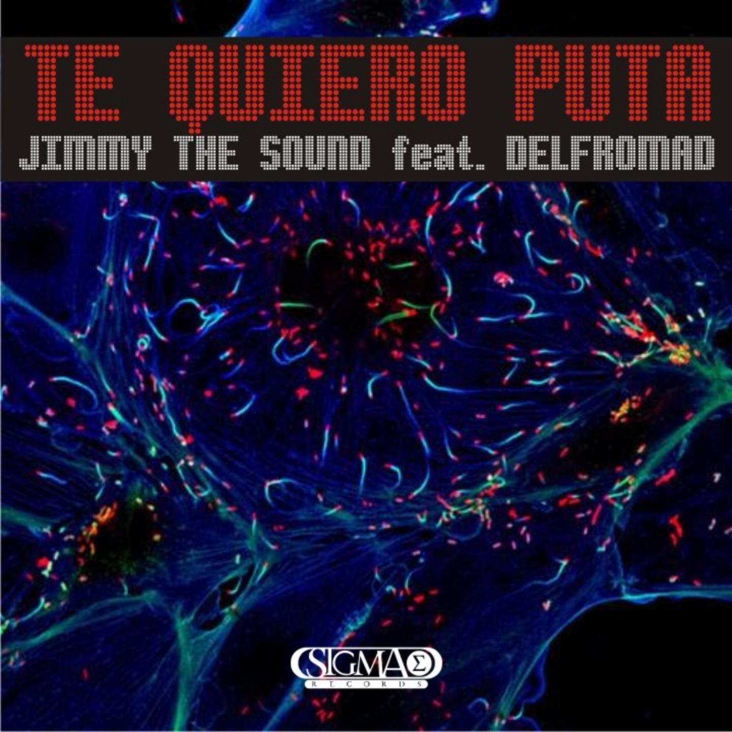 Te Quiero Puta