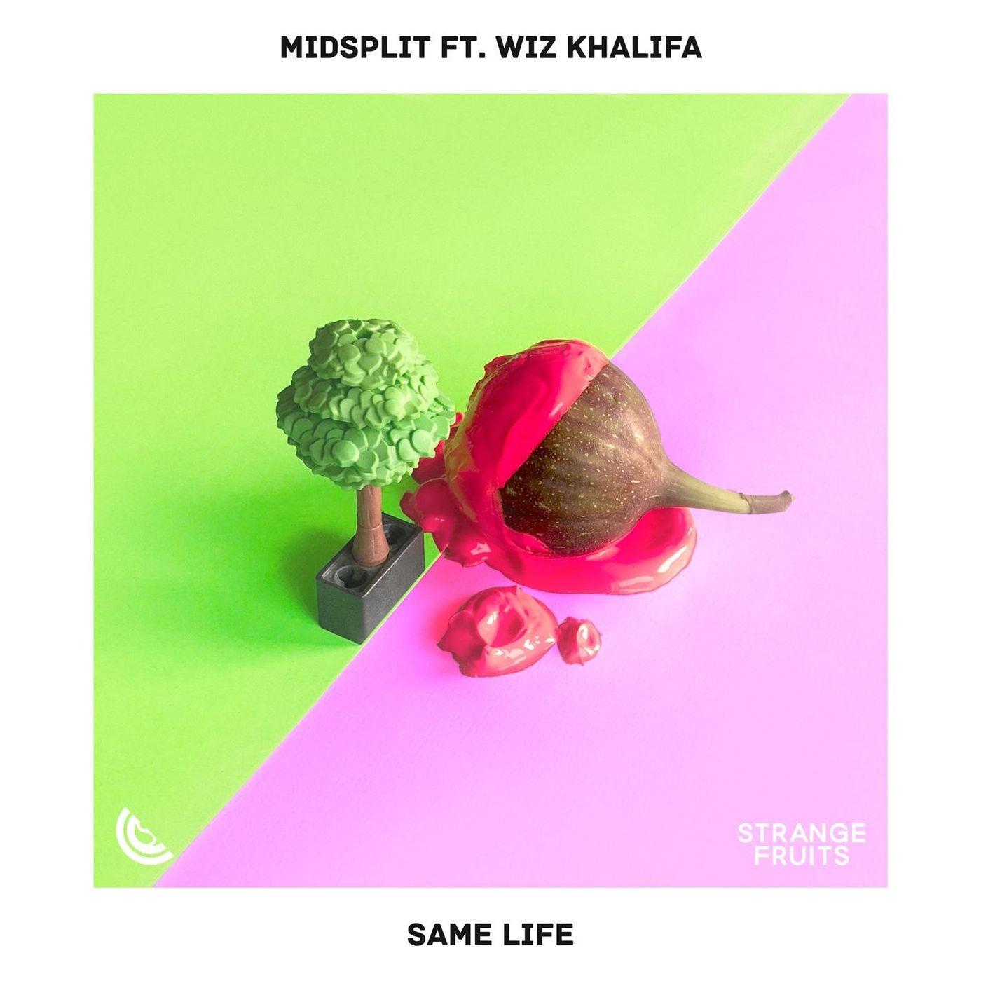 Same Life