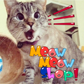 Meow Meow Shop（不插电版）