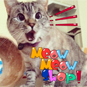 Meow Meow Shop（不插电版）专辑