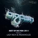 Freakhouze Special Best Of Big Fish 2011专辑