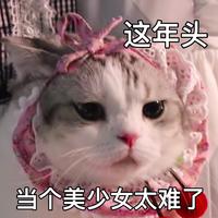 手掌心(删减伴奏)
