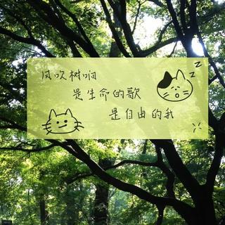 风过林梢时（纯音乐）