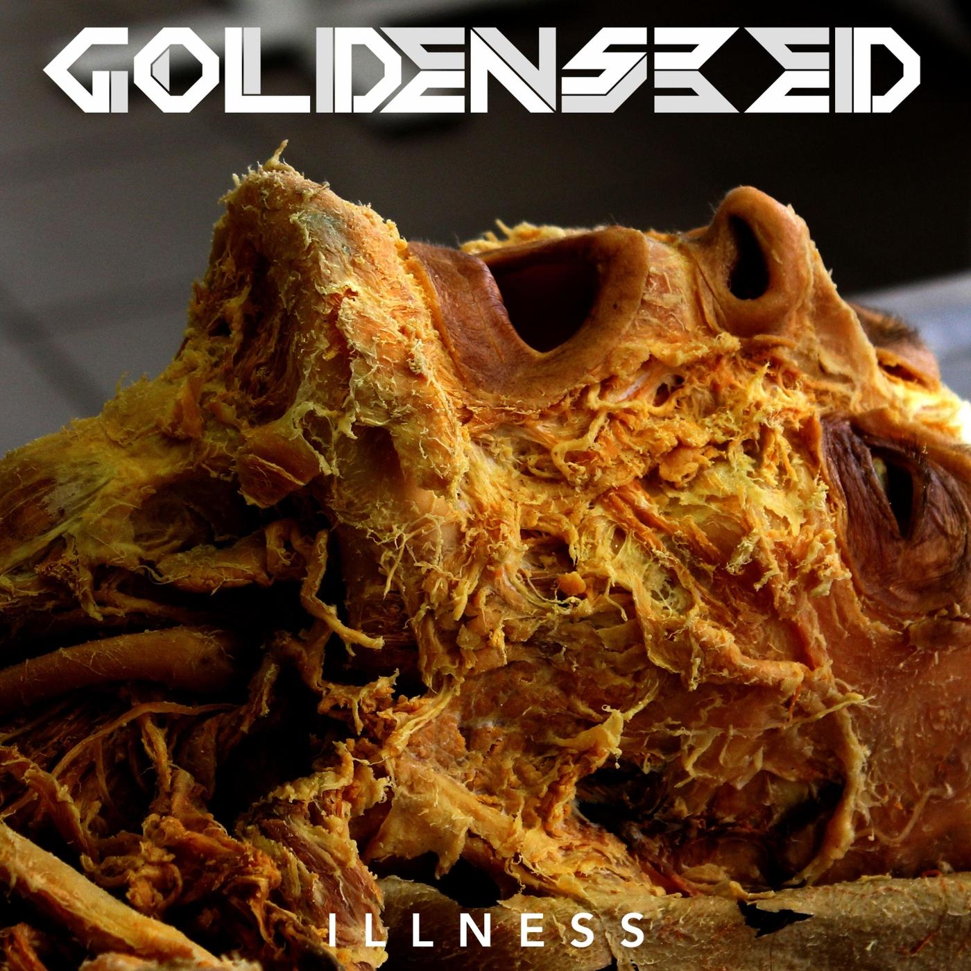 Illness