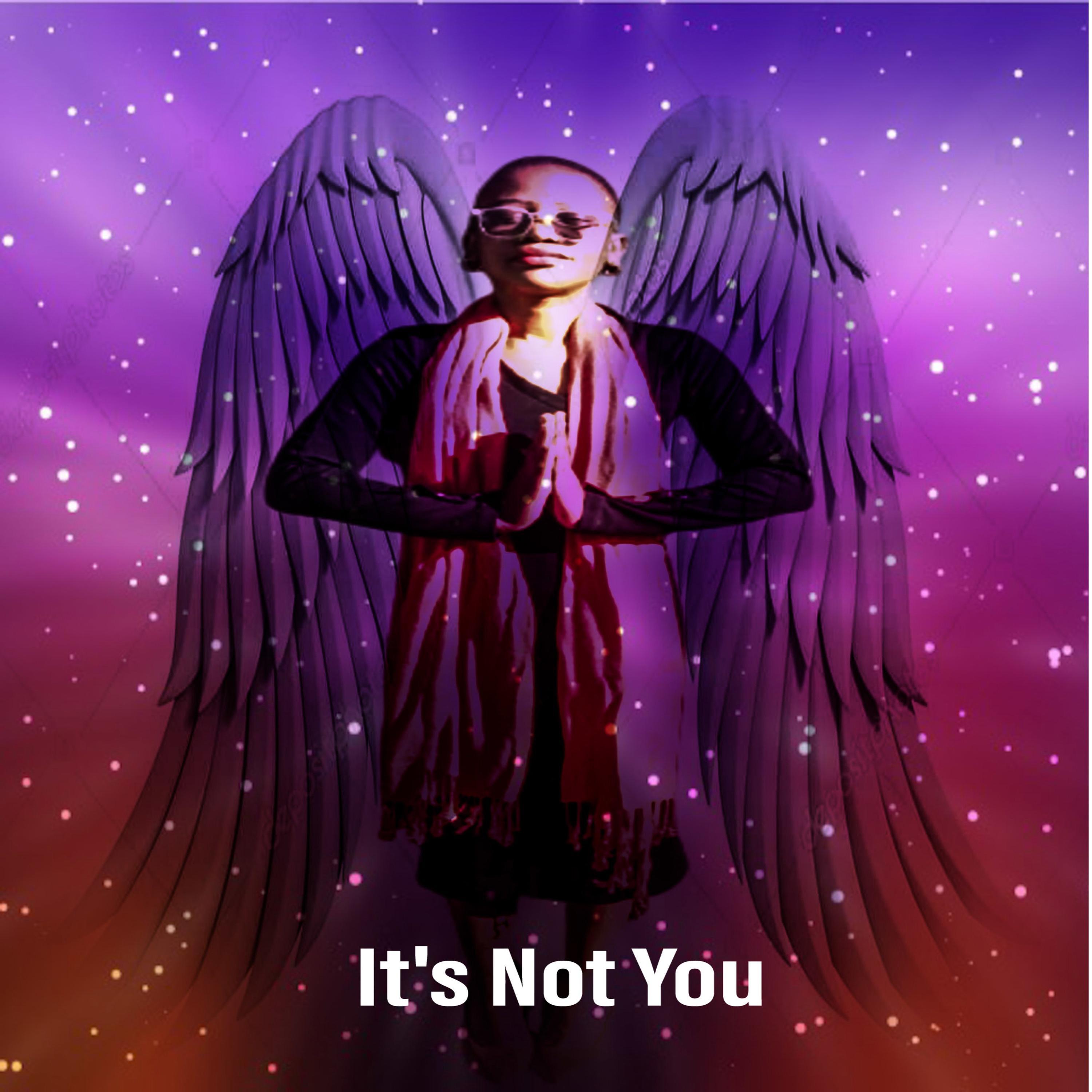It's Not You (feat. Pearly Hooks)